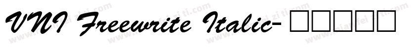 VNI Freewrite Italic字体转换